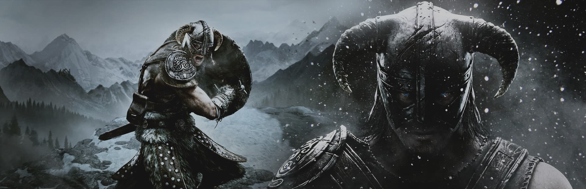 The Elder Scrolls V: Skyrim Special Edition game artwork