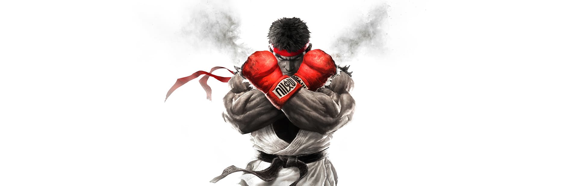 Street Fighter V game artwork